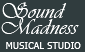 Sound Madness Musical Studio