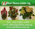 Joaquim Garden & Landscape Pte Ltd