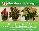 Joaquim Garden & Landscape Pte Ltd