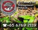 Q-vector Pest Management Pte Ltd