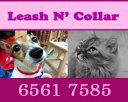 Leash N Collar