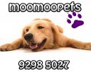Moomoopets