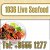 1036 Live Seafood