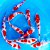Nippon Koi Farm Pte Ltd