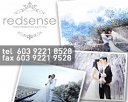 REDSENSE Sdn Bhd